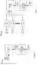 Fig. 02 - Microphone array processing for adaptive echo control