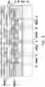 Fig. 09 - Cross-wafer RDLs in constructed wafers