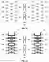 Fig. 07 - EEPROM cell and array having stacked nanosheet field effect transistors with a common floating gate
