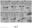 Fig. 08 - Freely detachable sticker-type electronic device, method of manufacturing the same, and method of forming electrode for the same