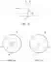 Fig. 10 - Pacifier