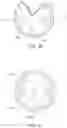 Fig. 21 - Pacifier