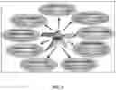 Fig. 03 - METHOD OF SKIN REJUVENATION USING STEM CELL ENGRAFTMENT