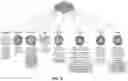 Fig. 04 - METHOD OF SKIN REJUVENATION USING STEM CELL ENGRAFTMENT