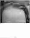 Fig. 06 - COMPOSITIONS FOR TREATING DERMATOLOGICAL DISEASES