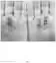 Fig. 07 - COMPOSITIONS FOR TREATING DERMATOLOGICAL DISEASES