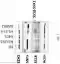 Fig. 02 - Method for treating cancer