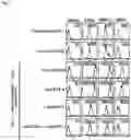 Fig. 06 - Oral composition comprising lactic acid bacteria for regulating immune responses and methods related thereto