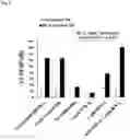 Fig. 07 - Oral composition comprising lactic acid bacteria for regulating immune responses and methods related thereto