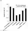 Fig. 08 - Oral composition comprising lactic acid bacteria for regulating immune responses and methods related thereto