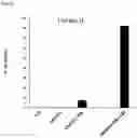 Fig. 22 - Oral composition comprising lactic acid bacteria for regulating immune responses and methods related thereto