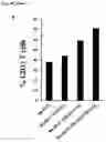 Fig. 41 - Oral composition comprising lactic acid bacteria for regulating immune responses and methods related thereto