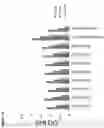 Fig. 02 - Means and methods for oral protein delivery