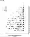 Fig. 08 - Means and methods for oral protein delivery