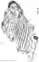 Fig. 08 - Ridable kart