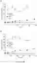 Fig. 06 - Heteroaromatic electrophiles and methods of using thereof