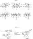 Fig. 02 - Boronated multifunctional targeting drug conjugates, their uses and methods for their preparation