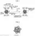 Fig. 02 - Method for producing coordinatively unsaturated metal-organic framework and coordinatively unsaturated metal-organic framework