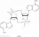 Fig. 331 - Cyclic di-nucleotide compounds and methods of use