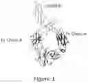 Fig. 02 - Fc variants