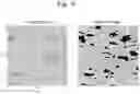 Fig. 07 - Flame-retardant polycarbonate-based resin composition and molded product thereof