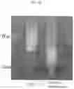 Fig. 09 - ORGANICALLY MODIFIED FINE PARTICLES