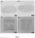 Fig. 04 - Method for preparing large-area structural chromogenic pattern by ink-jet printing and anti-counterfeiting method based on structural color change