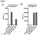Fig. 49 - Engineered cells and methods of use