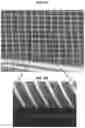 Fig. 09 - SCAFFOLD FOR IN VITRO MODELING AND TRANSPLANTATION THERAPY OF PHOTORECEPTORS