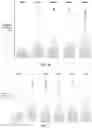 Fig. 09 - Highly sensitive in vitro assays to define substrate preferences and sites of nucleic-acid binding, modifying, and cleaving agents