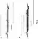 Fig. 09 - Method for detecting a genomic rearrangement involving the ALK gene in cell-free DNA