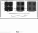 Fig. 02 - Methods of manufacturing oxide/metal composite components and the components produced therefrom