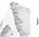 Fig. 08 - Method for analysis using X-ray fluorescence