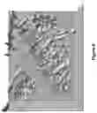 Fig. 09 - Method for analysis using X-ray fluorescence