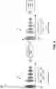 Fig. 06 - Ultrasonic touch and force input detection