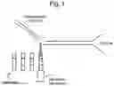 Fig. 02 - Low cross-talk fast sample delivery system based upon acoustic droplet ejection