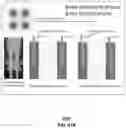 Fig. 131 - Apparatus and methods for selectively targeting communication devices with an antenna array