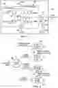 Fig. 02 - Dual-mode filtering actuator driver apparatus, systems and methods