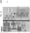 Fig. 02 - Limiting backpressure with bad actors