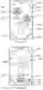 Fig. 20 - Electronic glasses that display a virtual image for a telephone call