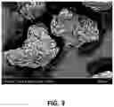 Fig. 04 - Pulse-based bread crumb, coating and pre-dust analog process for manufacturing the same