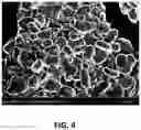 Fig. 05 - Pulse-based bread crumb, coating and pre-dust analog process for manufacturing the same