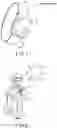 Fig. 02 - Electronic device, system, and body condition estimation method