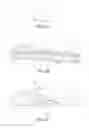 Fig. 03 - RAPID DELIVERY AND/OR WITHDRAWAL OF FLUIDS