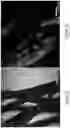 Fig. 07 - Intravascular cell therapy device