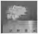 Fig. 01 - POLYURETHANE MICROCARRIER AND PREPARATION METHOD AND USE THEREOF