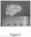 Fig. 02 - POLYURETHANE MICROCARRIER AND PREPARATION METHOD AND USE THEREOF