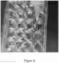 Fig. 09 - POLYURETHANE MICROCARRIER AND PREPARATION METHOD AND USE THEREOF