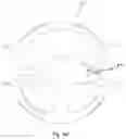 Fig. 11 - Adjustable vehicle suspension system