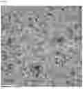Fig. 02 - Inorganic foam based on geopolymers